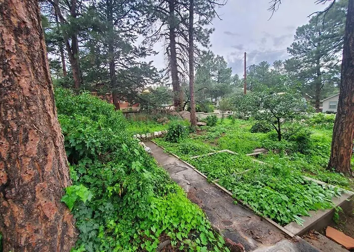 Romantic Escape+close Walk To Town+hot Tub+pets Ok Hébergement de vacances Prescott